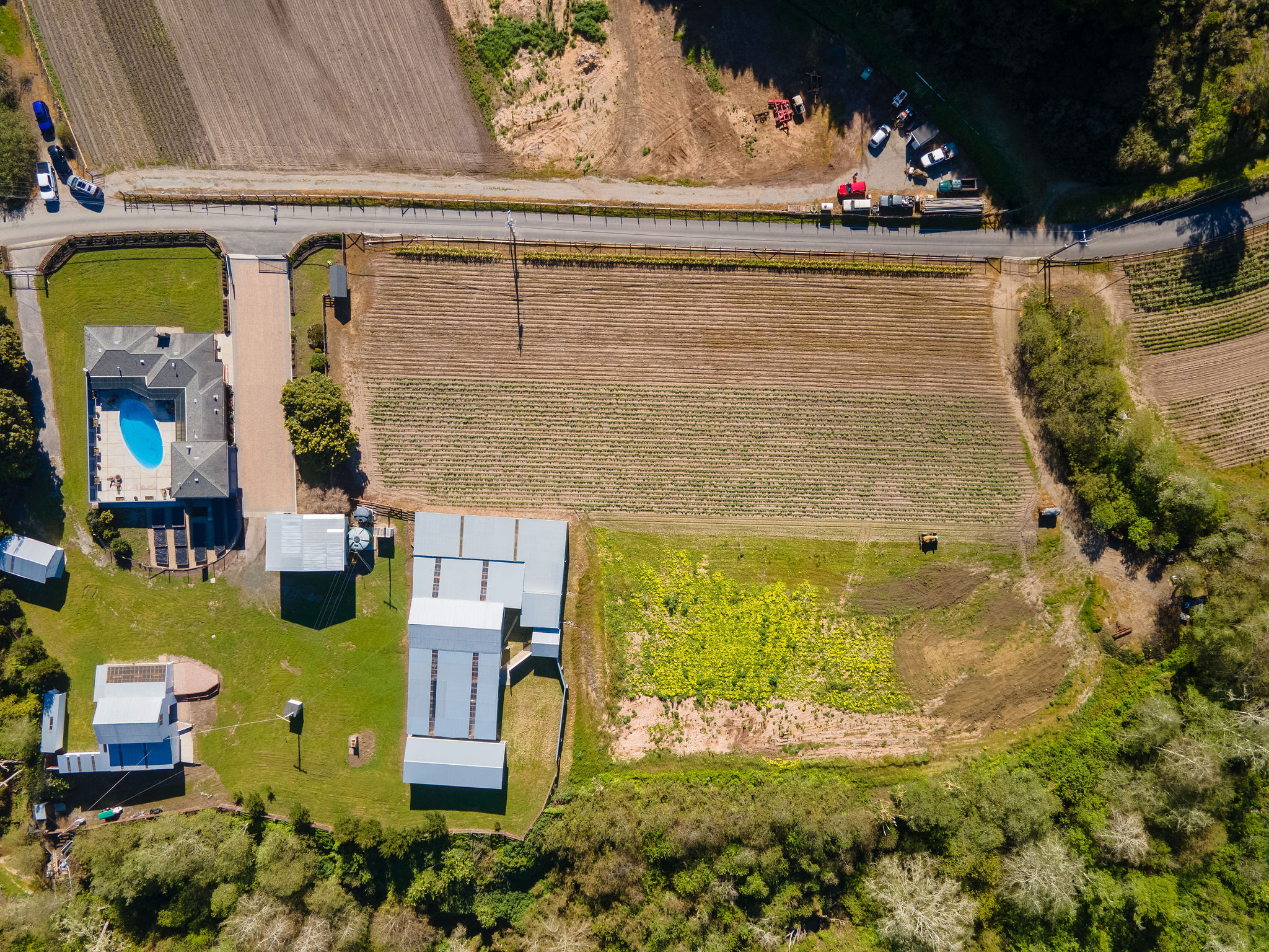 placeholder image-sq